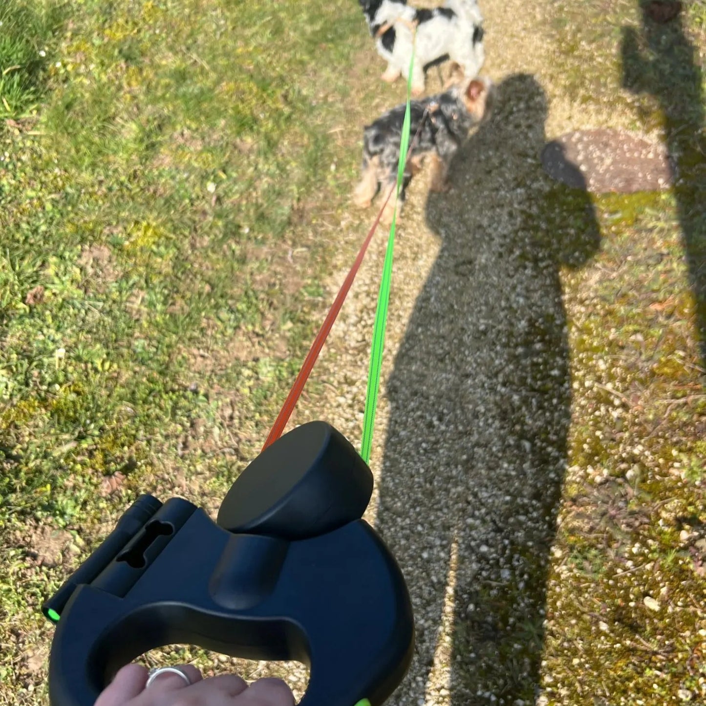 LeashLab™ Dual Dog Leash